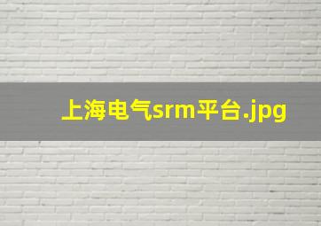 上海电气srm平台