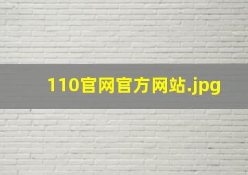 110官网官方网站