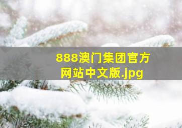 888澳门集团官方网站中文版
