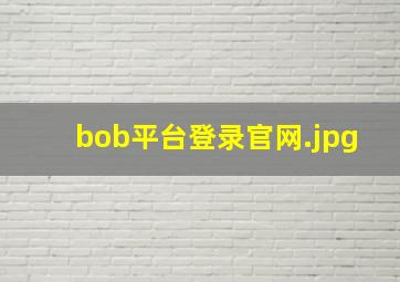 bob平台登录官网