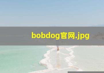 bobdog官网